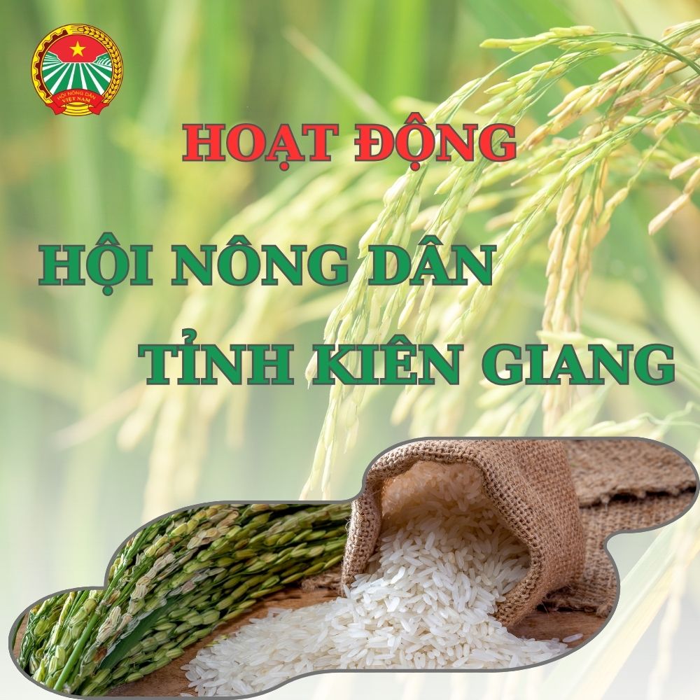 Kêu Gọi Chung Tay Góp Sức Thành Lập Quỹ Từ Thiện - Hạt Thóc Vàng